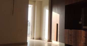 3 BHK Builder Floor For Rent in East Of Kailash Delhi 6182260