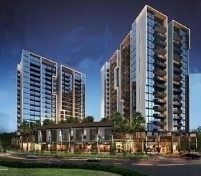 Commercial Showroom 430 Sq.Ft. For Resale in Sector 65 Gurgaon  6182413