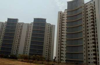 2 BHK Apartment For Resale in Tata Raheja Raisina Residency Sector 59 Gurgaon 6182480