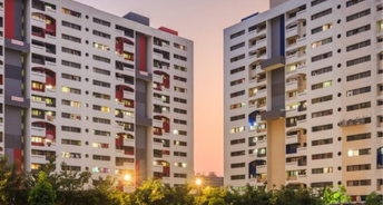 2 BHK Apartment For Rent in Kumar Pebble Park Hadapsar Pune 6182529
