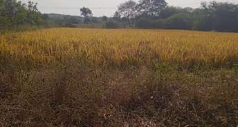 Commercial Land 1000 Sq.Yd. For Resale In Mulug Hyderabad 6182538