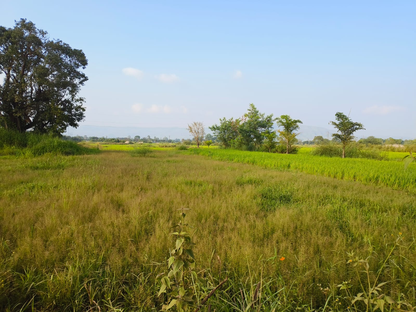 27+ Property for Sale Near Ratnaa Resort, Kamshet Pune