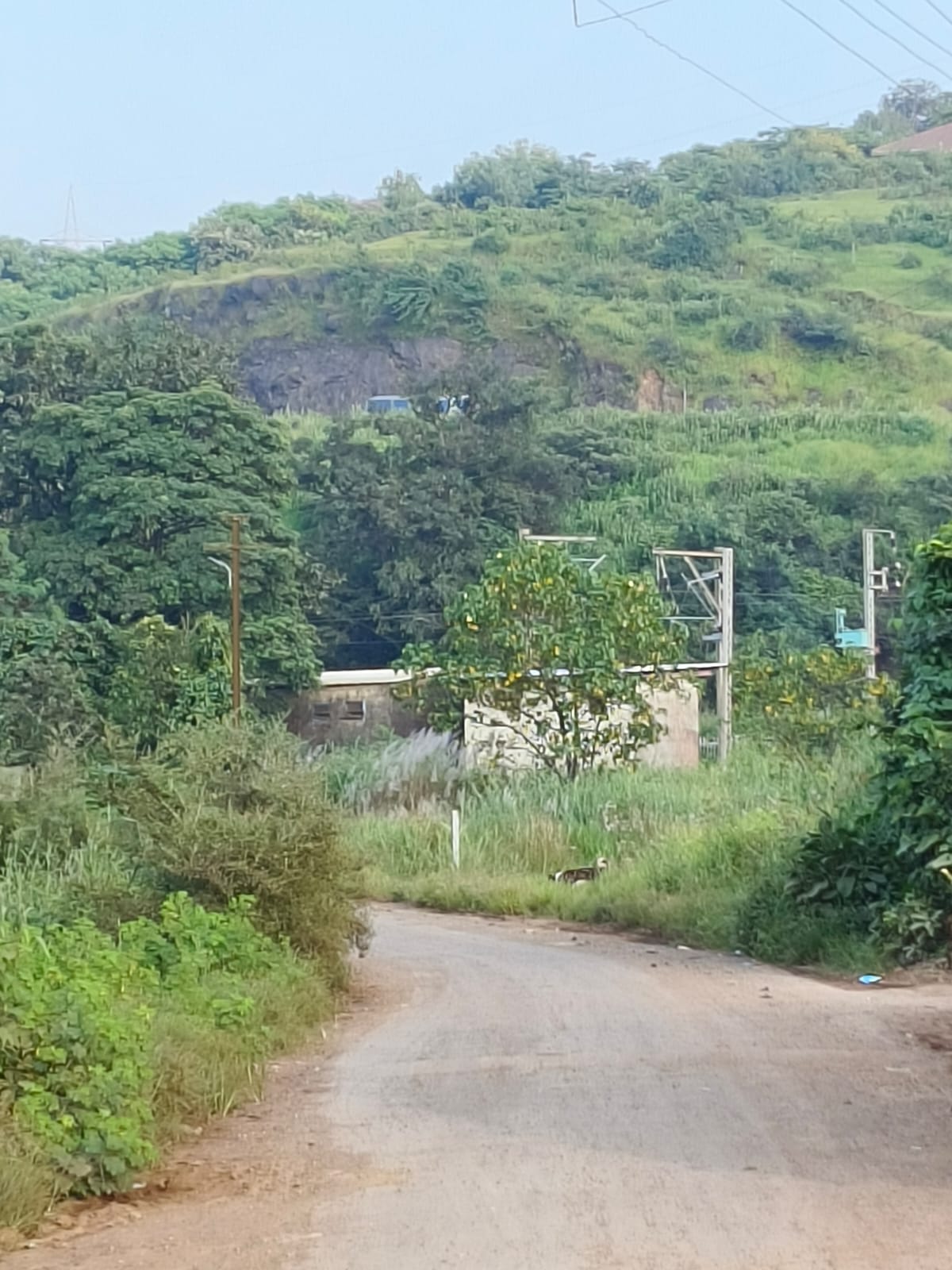 27+ Property for Sale Near Ratnaa Resort, Kamshet Pune