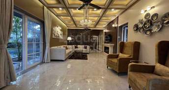 2 BHK Apartment For Rent in Ip Extension Delhi 6182792