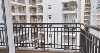 3 BHK Apartment For Rent in Central Park II Belgravia Resort Residences Sector 48 Gurgaon 6183530