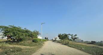  Plot For Resale in Mullanpur Chandigarh 6183755