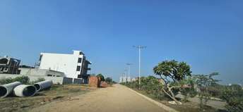  Plot For Resale in Mullanpur Chandigarh 6183838