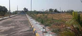  Plot For Resale in Kompally Hyderabad 6184290