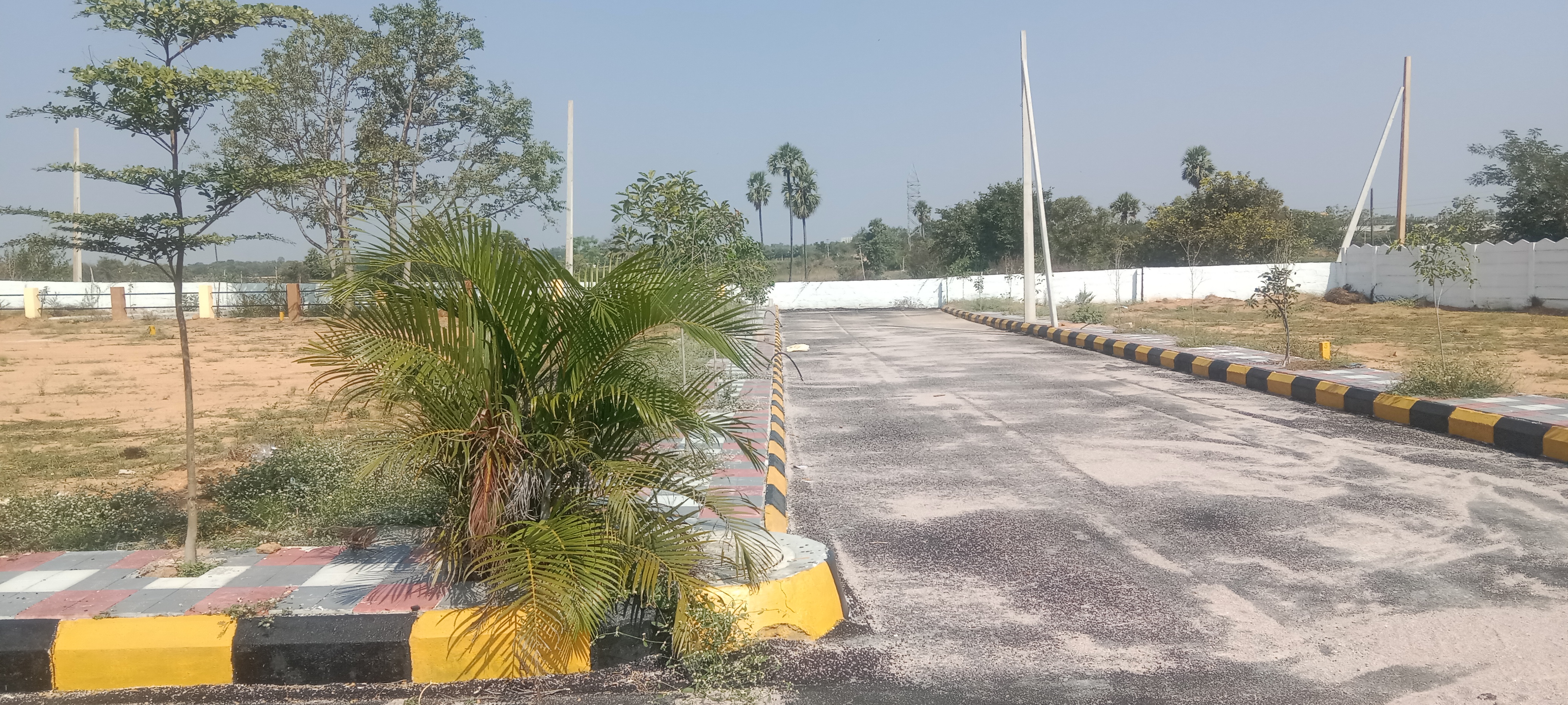 Plot For Resale in Secunderabad Hyderabad  6184340