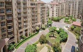 3 BHK Apartment For Rent in DLF Beverly Park I Sector 28 Gurgaon 6184463