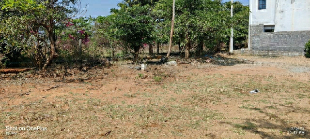 Plot For Resale in Kundanpally Hyderabad  6184612