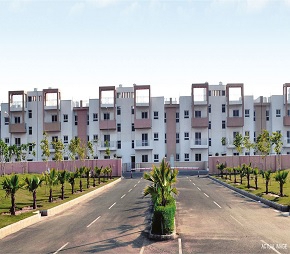 3 BHK Builder Floor For Resale in BPTP Park Elite Floors Sector 85 Faridabad  6184644