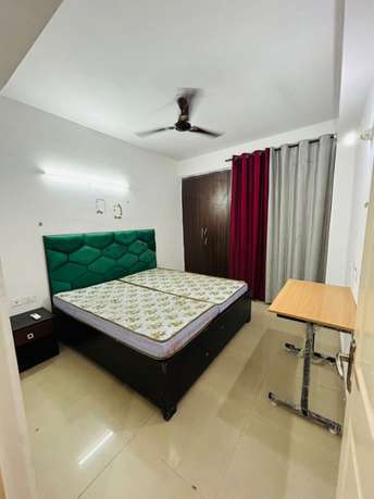 3 BHK Builder Floor For Rent in RWA Apartments Sector 41 Sector 41 Noida 6184852