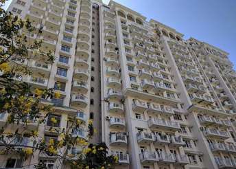 3 BHK Apartment For Resale in DLF Richmond Park Sector 43 Gurgaon 6184978