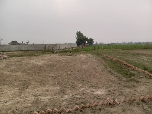 Plot For Resale in Faridabad Central Faridabad  6185509