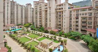 5 BHK Penthouse For Resale in DLF Beverly Park I Sector 28 Gurgaon 6185563