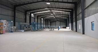 Commercial Warehouse 50000 Sq.Ft. For Rent In Chikkaballapur Bangalore 6185899