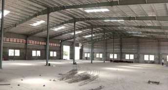 Commercial Warehouse 177 Sq.Yd. For Resale In Vizag Airport Vizag 5947395