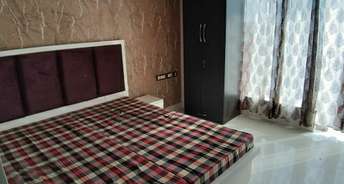 1 RK Apartment For Rent in Golden Damas Studio Apartment Sector 67 Gurgaon 6186020