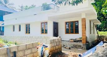 3 BHK Villa For Resale in Mannuthy Thrissur 6186450