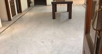 3 BHK Builder Floor For Rent in Sector 46 Noida 6187044