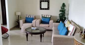 2 BHK Apartment For Rent in DLF Silver Oaks Sector 26 Gurgaon 6187066