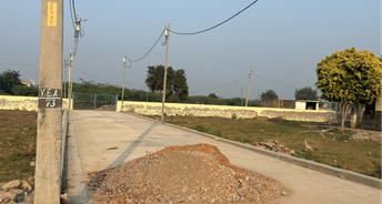 Plot For Resale in Gn Sector 27 Greater Noida 6187230