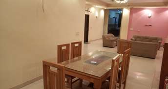 6+ BHK Independent House For Rent in Sector 52 Noida 6187435