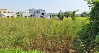  Plot For Resale in Thol Mehsana 6187687