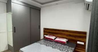 1 BHK Apartment For Rent in Kalpataru Harmony Pune Wakad Pune 6187899