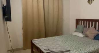 1 BHK Apartment For Rent in Tilak Nagar Mumbai 6188072