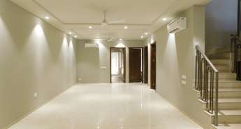 3 BHK Builder Floor For Rent in RWA Greater Kailash 1 Greater Kailash I Delhi 6188131