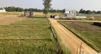  Plot For Resale in Sultanpur Road Lucknow 6188186