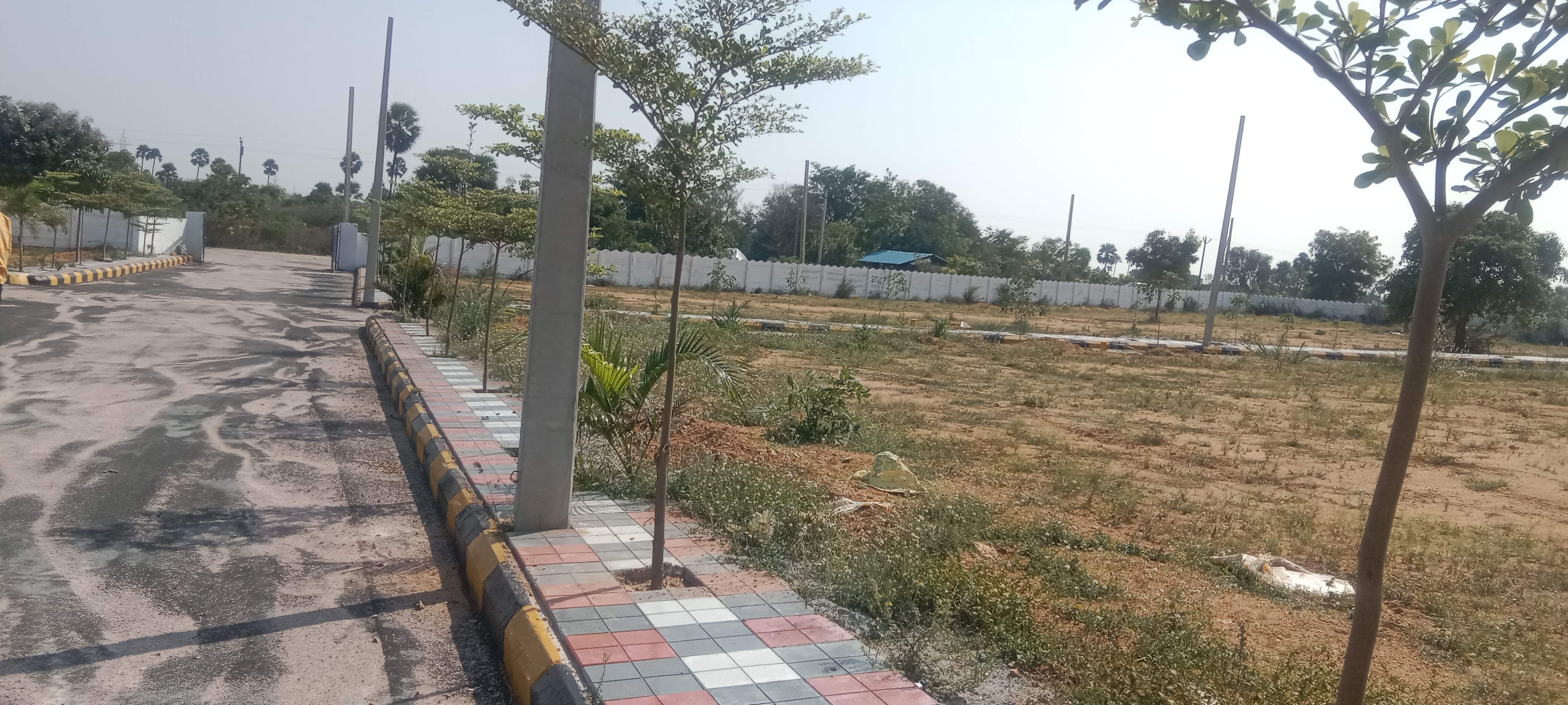  Plot For Resale in Addagutta Hyderabad 6188442