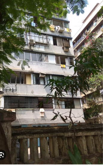 1.5 BHK Apartment For Resale in Jeevan Vihar Building Malabar Hill Mumbai 6188976