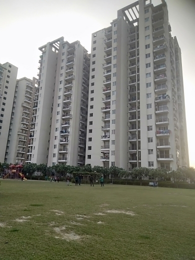 2 BHK Apartment For Resale in MGH Mulberry County Sector 70 Faridabad  6189688