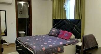 3 BHK Builder Floor For Rent in Paschim Vihar Delhi 6189860