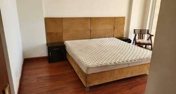 4 BHK Apartment For Rent in Patiala Road Zirakpur 6189982