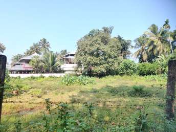  Plot For Resale in Pottore Thrissur 6190662