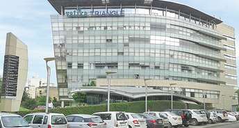 Commercial Office Space 4000 Sq.Ft. For Rent In Sector 28 Gurgaon 6190909
