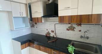 2 BHK Apartment For Rent in VVIP Addresses Raj Nagar Extension Ghaziabad 6191210