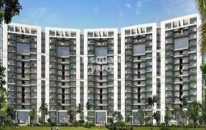 4 BHK Apartment For Rent in Tulip Violet Sector 69 Gurgaon 6191379