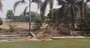  Plot For Resale in Sector 141 Faridabad 6191444