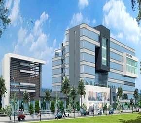 Commercial Office Space 2021 Sq.Ft. For Rent In Sector 65 Gurgaon 6192828
