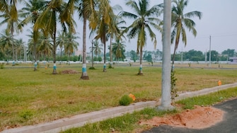 Plot For Resale in Purushothapuram Srikakulam  5226891