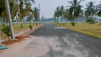 Plot For Resale in Purushothapuram Srikakulam  5226891