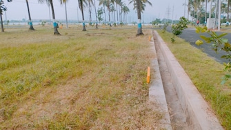 Plot For Resale in Purushothapuram Srikakulam  5226891