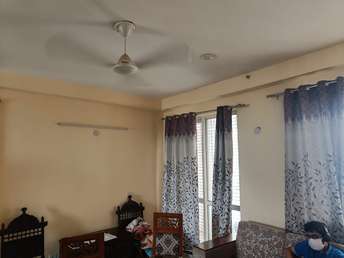 3 BHK Apartment For Rent in Jaypee Kensington Park Apartments Sector 133 Noida 6194141