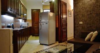 3 BHK Apartment For Rent in RWA Saket Block M Saket Delhi 6194189