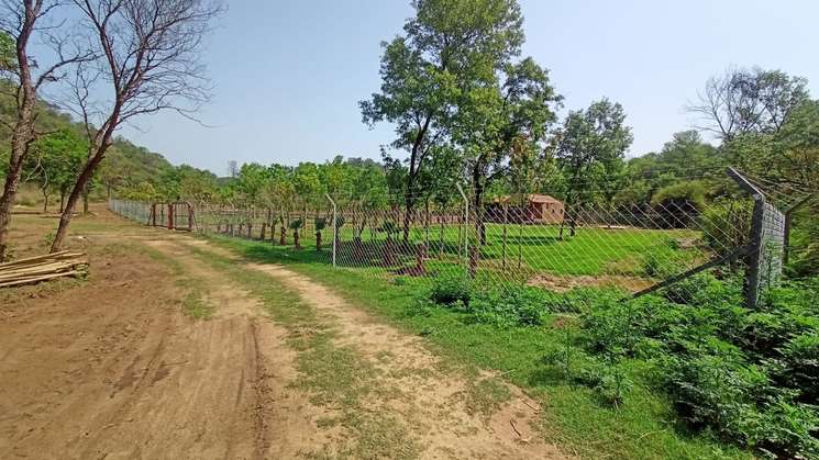 Shree Dham Eco Farm